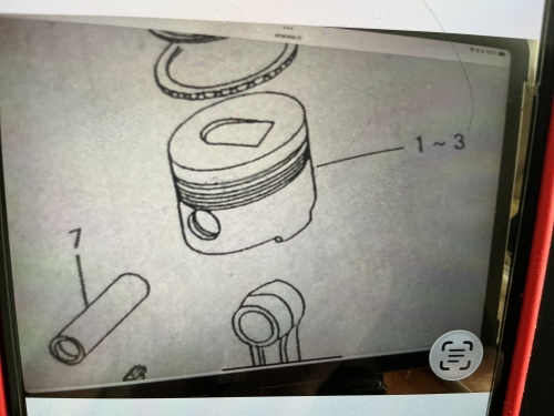 Images/thumbnails/SAPITO-20064 (001)KH-thumbnail.jpg